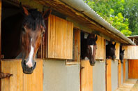 free Senghenydd stable construction quotes